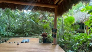 Thumbnail of post image 124