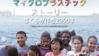 Thumbnail of post image 178